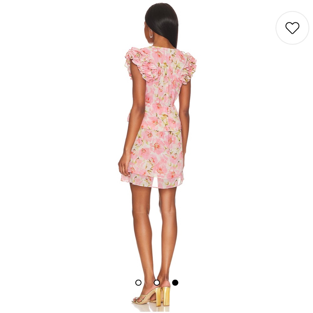 NWT MISA Los Angeles Lily Dress in Blushing Flora - Picture 3 of 9